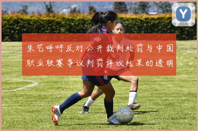 朱艺呼吁反对公开裁判处罚与中国职业联赛争议判罚评议结果的透明化探讨